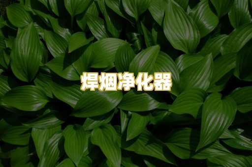 焊烟净化器